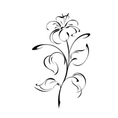 ornament 1929. blooming flower with large petals on the stem with leaves in black lines on a white background