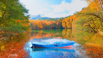 Autumn landscape in (seven lakes) Yedigoller Park Bolu, Turkey