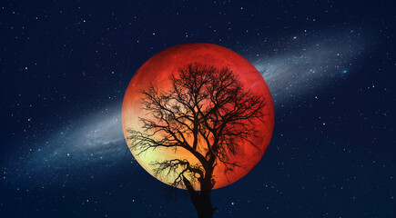 Lone tree with Lunar eclipse and blood moon Andromeda galaxy in the background