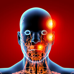 3d render orange  lymphatic system - front view