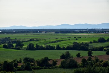 Fototapeta na wymiar Cultivated fields, Montmagny, Québec, Canada