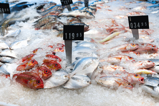 Fresh Fish Assorted On Ice Counter In Supermarket