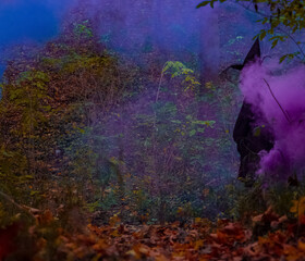 Halloween October fall season time concept unrecognized black silhouette person of witch in colorful bombs smoke purple and blue outdoor orange forest environment space