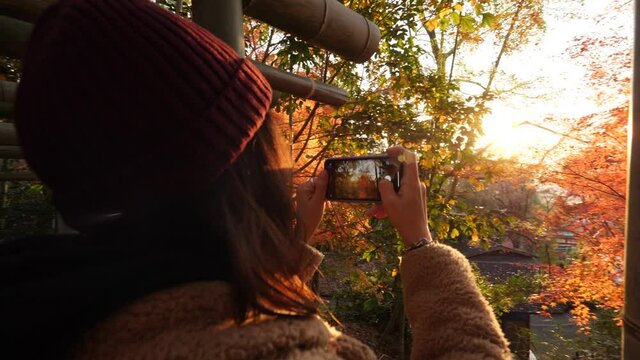 Young Mixed Race Woman Taking Photo Of Momiji Trees With Her Smartphone. Japanese Autumn. 4K Slow Motion Footage. Japan.