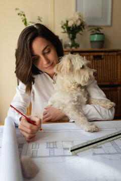 Caucasian female architect in living room with her pet dog, sitting at table working, drawing plans