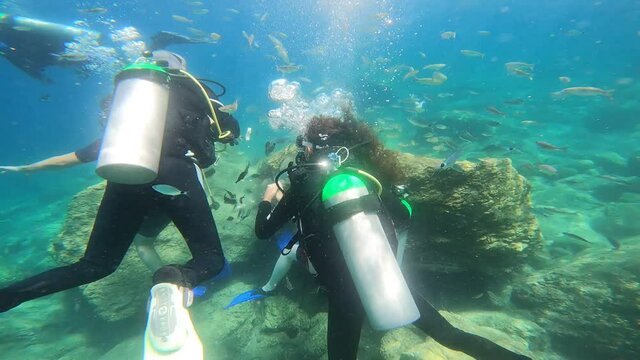 Underwater world of Mediterranean Sea. Near Marmaris, Turkey