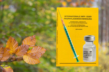 Vaccination passport, injection syringe and vaccine bottle on an autumn background. Side view of a...