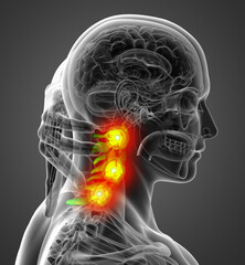3d render medical illustration of the cervical spine