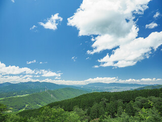 奈良県 鳥見山
