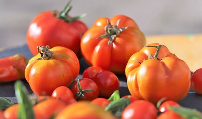 close up of variety of tomatoes