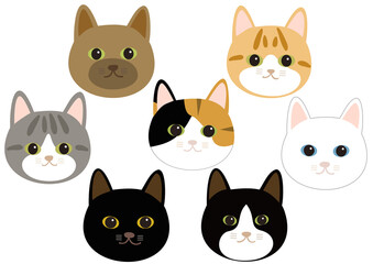 7匹の猫の顔　白背景