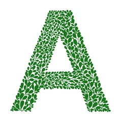Letter A illustration. Capital letter. Botanical ornament abc