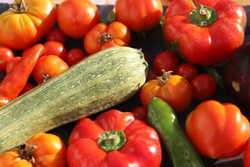 Close up of  red  and green vegetables - view from above - tomatoes, peppers