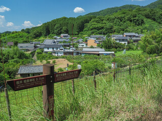 奈良県 桜井市 山の辺の道
