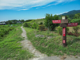 奈良県 天理市 山の辺の道