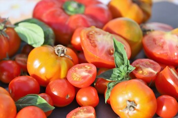 close up of tomatoes and peppers - view from above