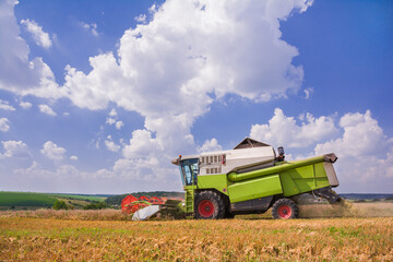 Obraz premium Harvesting. The combine is mowing wheat in the field