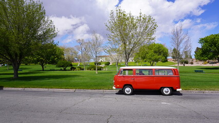 red beetle in the park
