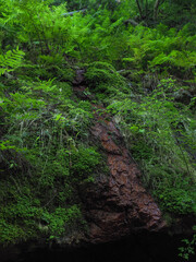 奈良県 奈良市 春日山