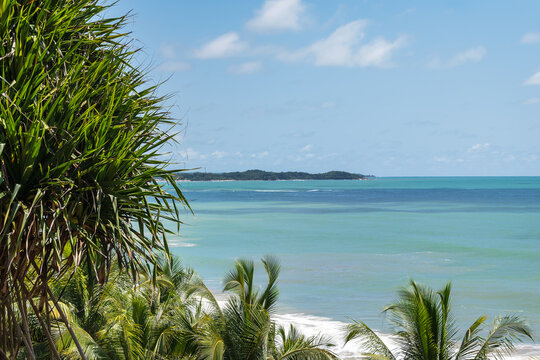 View from the jungle of the Axim coast of Ghana with untouched nature