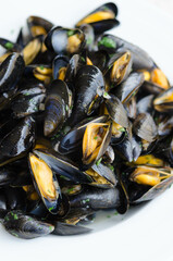 Mussels