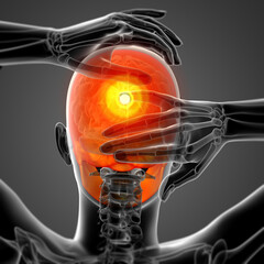 3d render medical illustration of the skull © maya2008