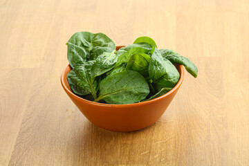 Fresh green spinach leaves in the bowl