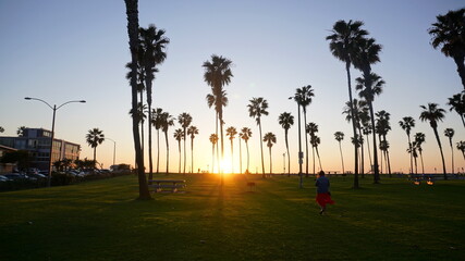 sunset in the park