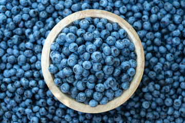 Fresh sweet blueberry berries closeup