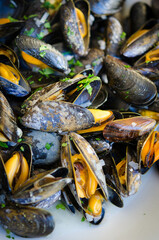 Mussels