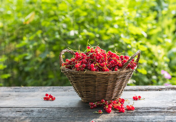 Ripe red currant berries in a bowl  on a rustic wooden background