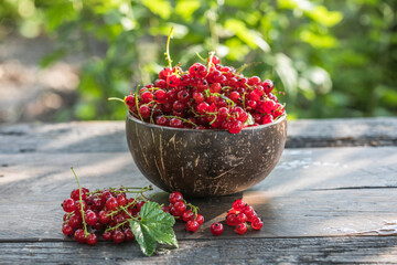Ripe red currant berries in a bowl  on a rustic wooden background