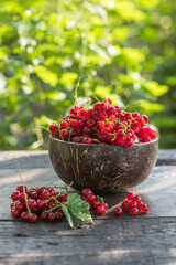 Ripe red currant berries in a bowl  on a rustic wooden background