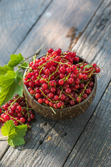 Ripe red currant berries in a bowl  on a rustic wooden background