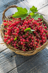 Ripe red currant berries in a bowl  on a rustic wooden background