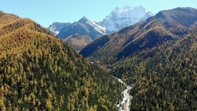 Autumn valley with pine forest and snow mountain background at Yading nature reserve