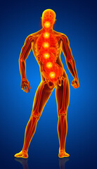 3D rendering of male anatomy