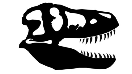 Tyrannosaurus Skull HD Realistic Dinosaur Fossil Skeleton Vector Art Illustration