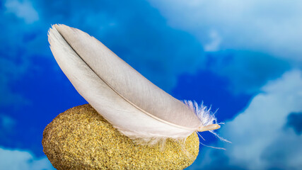 a bird's feather lying on a stone with a sky background