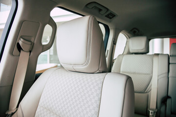 Back passenger seats in modern luxury car