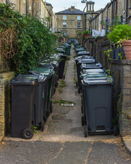 While the introduction of wheelie bins has made the removal of rubbish easier and more efficient they can be an eyesore especially when crowded into an alley