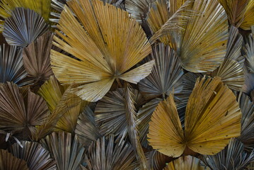 Dry leaves wall decoration on the beach 