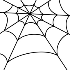 Fototapeta premium Spider web on white background. Simple line vector illustration.
