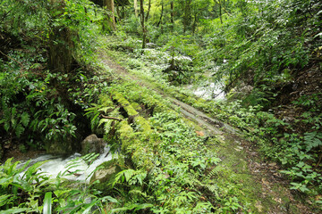 愛媛県内子町　紅葉ヶ滝への道の風景