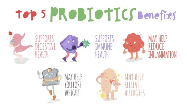 Top 5 Benefits of probiotics. Landscape poster. Medical infographic.
