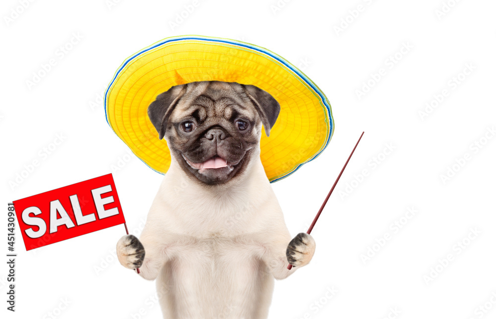 Poster pug puppy wearing summer hat holds sales symbol and points away on empty space. isolated on white ba