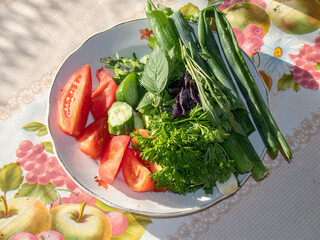 Sliced fresh tomatoes and cucumbers with spicy herbs on a plate