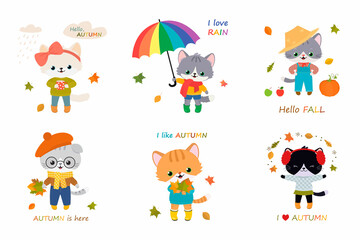 Set of cute cats. Autumn clipart. Vector illustration, Cartoon flat style