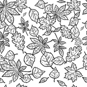 Seamless pattern of autumn leaves. Sketch scratch board imitation coloring.