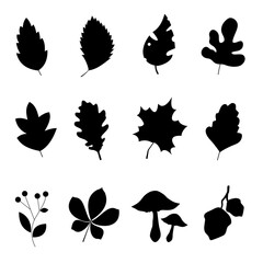silhouettes of leaves